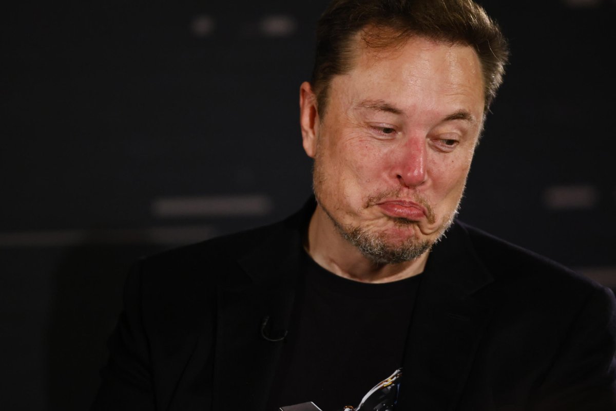 Elon Musk se mete con TikTok