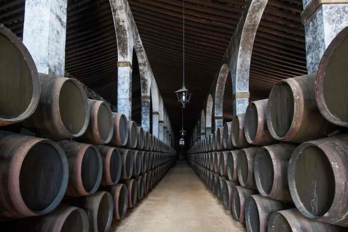 Las bodegas más antiguas de España